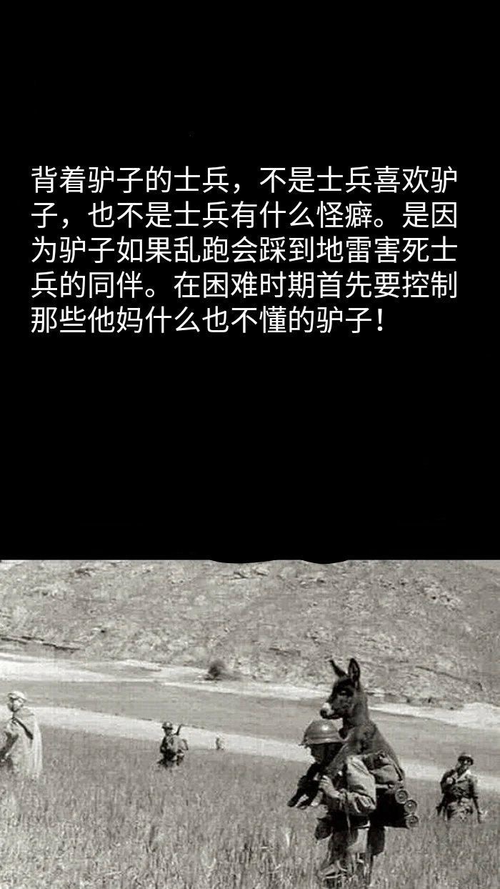 IMG_9717.jpeg