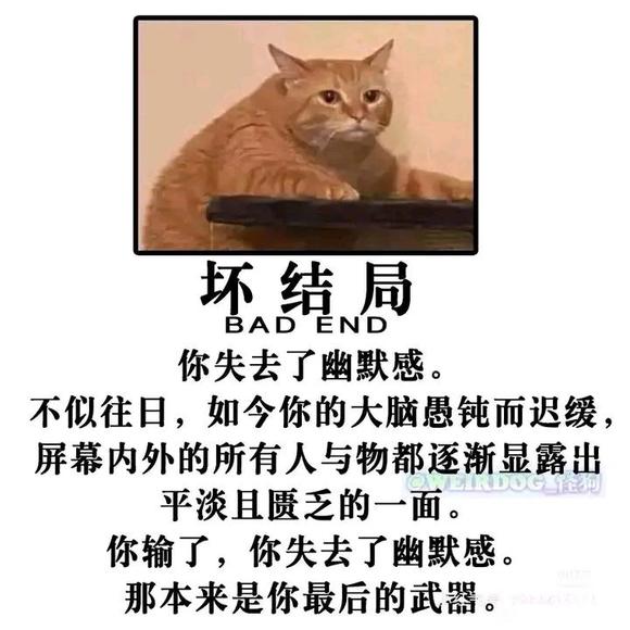 46439ffbe6cd7b897f7f8db5492442a7d9330ebf.jpg